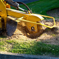 St. Louis Arborist Services: The Complete Guide to Stump Grinding