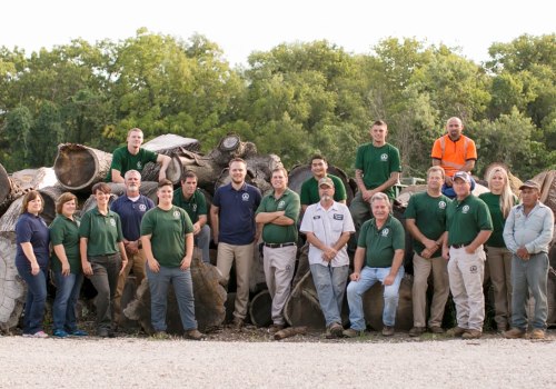 St. Louis Arborist Services: Providing Expert Tree Health Assessments