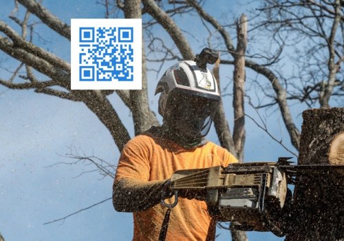 The Importance of References and Customer Reviews for St. Louis Arborist Services